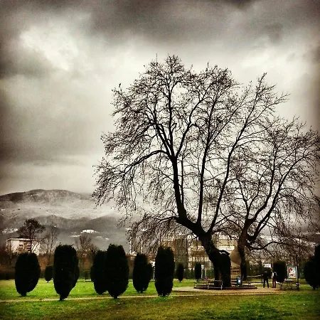 호텔 Kocaeli Universitesi Kartepe Park 4*