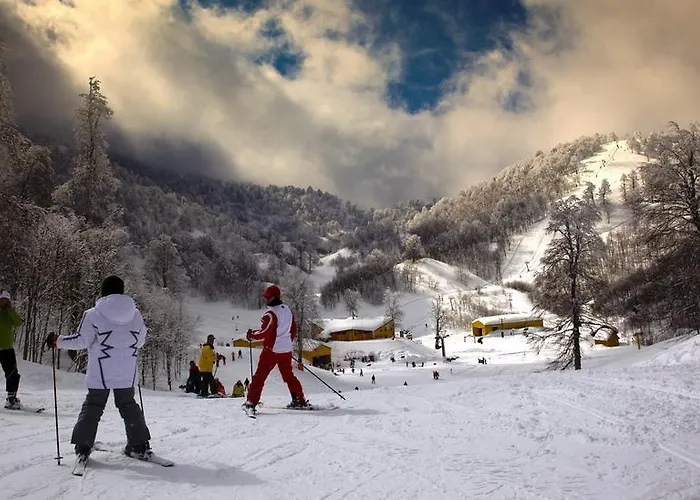 Kocaeli Universitesi Kartepe Park