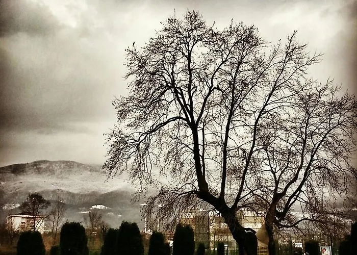 ホテル Kocaeli Universitesi Kartepe Park 4*